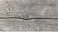 photo texture of wood bare 